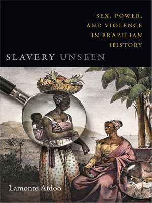 cover image of Slavery Unseen